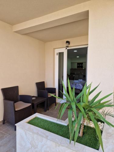 a living room with chairs and a table and a plant at Apartmani Nataly M2 in Veliko Gradište