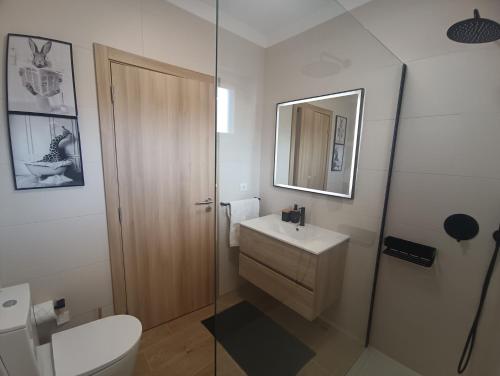 a bathroom with a toilet and a sink and a mirror at Apartamento em D'el Rey-Obidos Beach & Surf in Amoreira