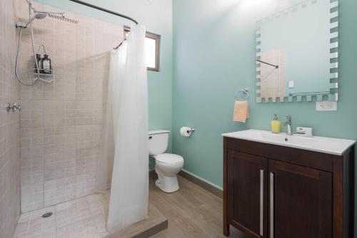 a bathroom with a toilet and a shower with a sink at KING BED & HOT TUB in Cloud Forest Mountains with WIFI, Volcán, Panama in Nueva California
