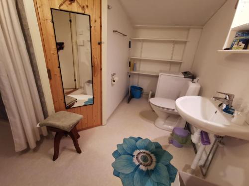 a bathroom with a toilet and a sink and a mirror at Tofta Konstgalleri-Lägenhet Loftet03 in Varberg