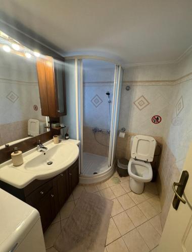 a bathroom with a toilet and a sink and a shower at Dimitris Guesthouse in Kapótidhes