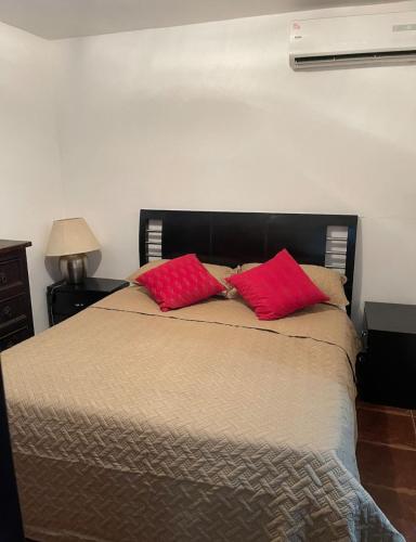 a bedroom with a bed with two red pillows at Magnífico Apartamento en Mérida in Mérida
