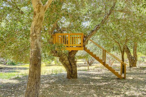 Κήπος έξω από το Wraparound Deck, Game Room - Cuyamaca Mtns Cabin!