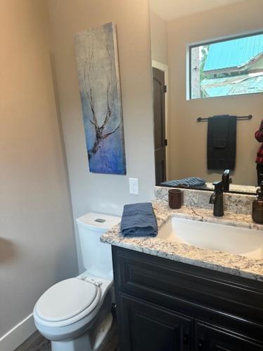 a bathroom with a white toilet and a sink at Mariposa Grove Creekside Retreat in Fish Camp