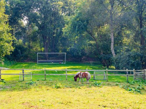 a horse grazing in a field next to a fence at De Vale in Hattemerbroek