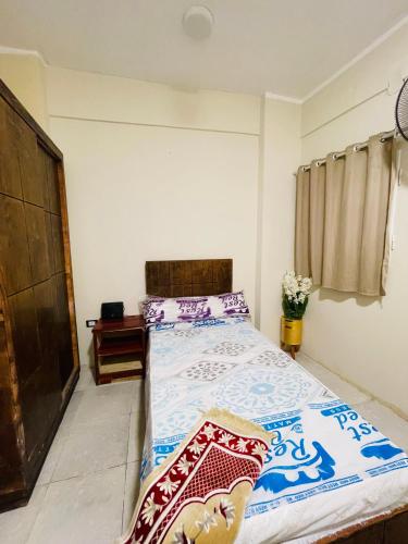 شقة استيديو مفروشه في المنصورة