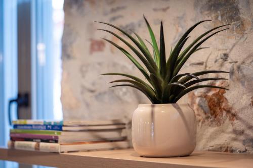 a plant in a white vase sitting on a table at Nest in the City Residence in Volos