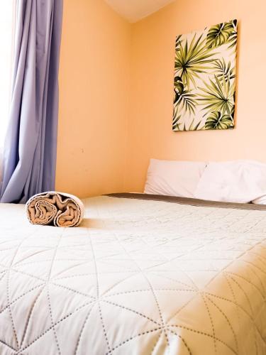a bedroom with a bed with blue curtains at Loft familiar, Paseo Durango in Durango