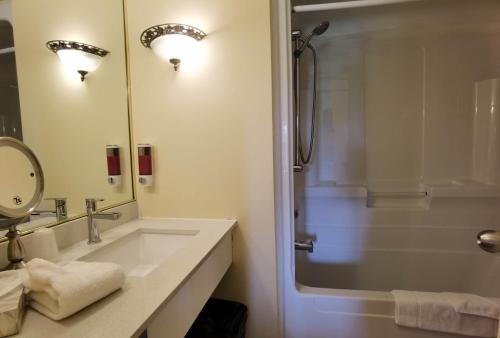 a bathroom with a sink and a shower at Motel Grand-Pré Inc in Bonaventure
