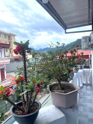 two potted plants sitting on top of a balcony at Bảo Bảo guest houes in Bắc Hà