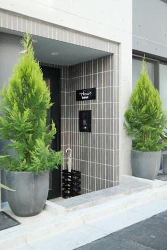 two trees in large pots in front of a building at タスキsmart 錦糸町II in Tokyo