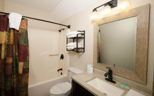 a bathroom with a sink and a toilet and a mirror at Coppertop View in Gatlinburg