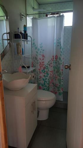 San FranciscoにあるKantu House Oxapampaの洗面台、トイレ、シャワー付きのバスルーム