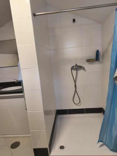 a shower with a shower head in a bathroom at On Apulia Beach 4 PAX Suite Room in Apúlia