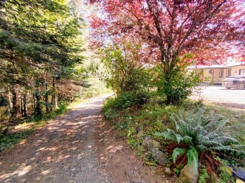 a dirt road with a tree on the side at Davidson Star in Sooke