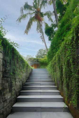 a staircase leading up to a building with a palm tree at Chameleon Villa Bali in Tabanan