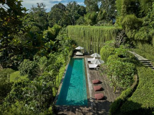 an overhead view of a swimming pool with umbrellas at Chameleon Villa Bali in Tabanan