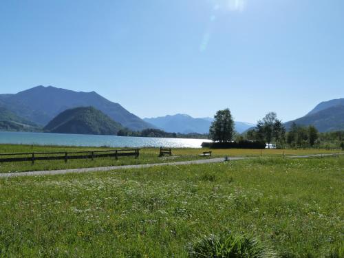 a park with benches and a lake and mountains at Pilznerhof in Strobl