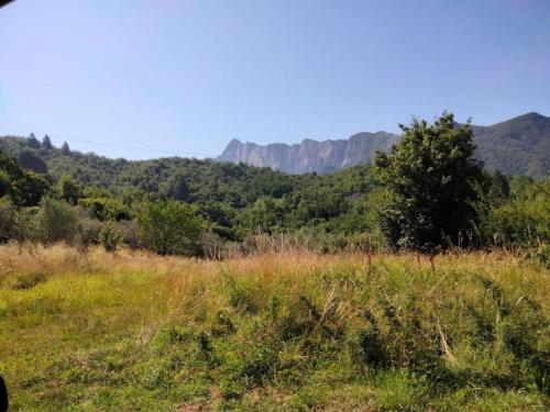 Un paisaje natural cerca del departamento