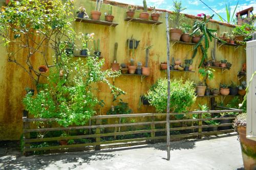 a retaining wall with potted plants and a fence at Suíte no jardim - Praia dos Anjos in Arraial do Cabo