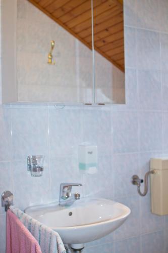 a bathroom with a sink and a mirror at Tourist farm Mraz in Podčetrtek