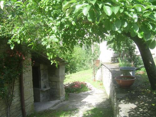 a garden with a tree and a brick wall at Agriturismo Mulino di Culmolle in Raggio