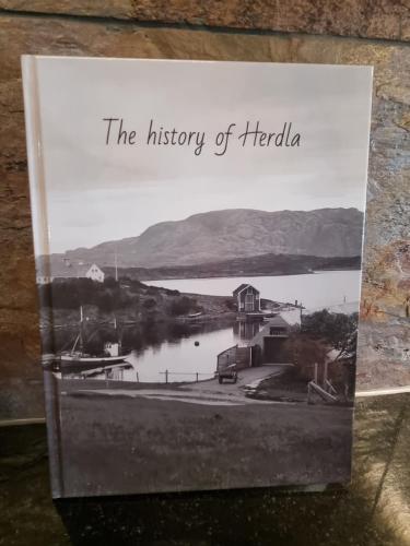 a book on the history of ireland at Family-friendly Cabin with pier - Herdla to Bergen - 40 min in Herlø