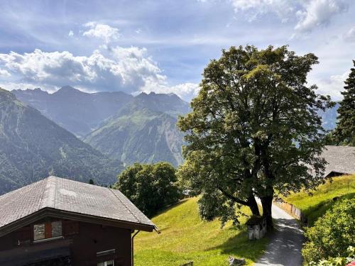 a tree on a hill next to a house at Revier mon désir in Braunwald