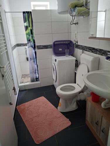 a bathroom with a toilet and a sink at Jasmir in Bihać
