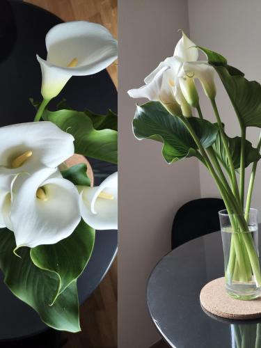 a vase of white flowers sitting on a table at STUDIO APARTMAN MARKo C self-check in,frre parking in Karlovac