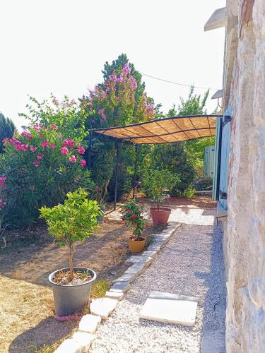 a garden with potted plants and a wooden umbrella at Lou Carami - Studio rénové dans village Provençal in Vins-sur-Caramy