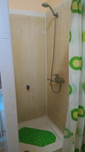 a shower with a green shower mat in a bathroom at Кімнати в центрі in Uzhhorod
