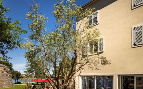a tree in front of a building at Valamar Riviera Hotel & Residence in Poreč