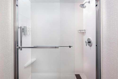 Bagno di Hampton Inn Buffalo-Airport Galleria Mall