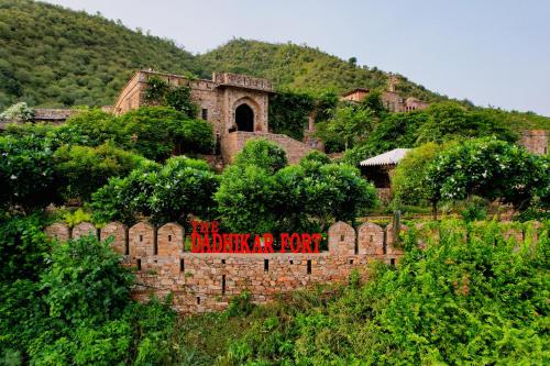 阿尔瓦尔Fort Dadhikar, Alwar的墙上挂着一块牌子，上面写着“最聪明的石头”