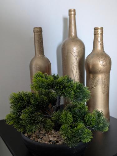 a plant in a bowl next to three wine bottles at La Maison d'Arlette - Maison d'Hôte et Gite au coeur de l'Isère à 10 mn de Voiron, capitale de la Chartreuse, et du Lac de Paladru in Saint-Blaise-du-Buis