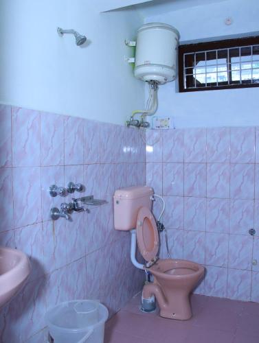a bathroom with a pink toilet and a sink at Hotel Green View McLeod Ganj in Dharmsala
