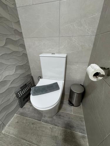 メリダにあるApartamento Martina 2のバスルーム(タオル付きトイレ付)