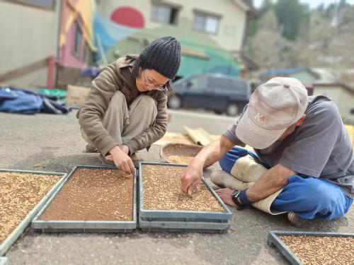 two men are working on the ground with seeds at わくわく自然体験の宿ゲストハウス山楽 in Itoigawa