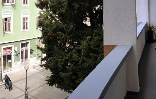 a tree on the side of a building next to a street at Apartment KaLea Pula Center By Villas Guide in Pula