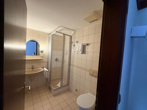 a bathroom with a shower and a toilet and a sink at Hotel Post Viernheim in Viernheim