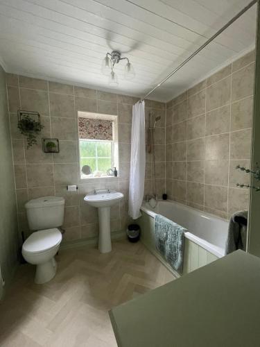 a bathroom with a toilet and a sink and a tub at Riverside Cottage in Aycliffe