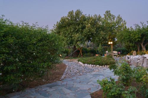 Κήπος έξω από το Giakoumakis Luxury-Private Villa