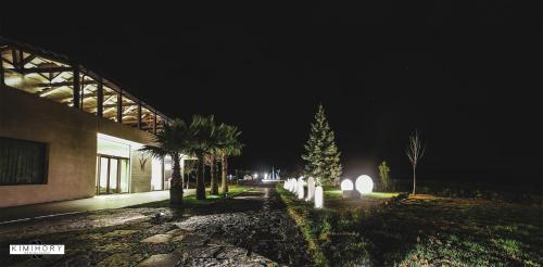 a night view of a building with palm trees in front of it at La Fucina di Vulcano in Bronte