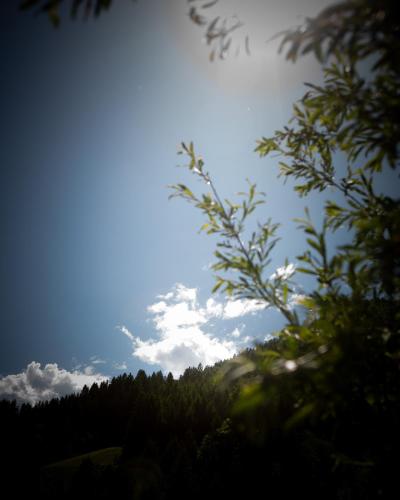 a view of the sky from behind a tree at Hotel Elisabeth, 4 Sterne Superior in Kirchberg in Tirol