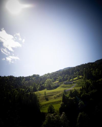 a view of a green field with trees on a hill at Hotel Elisabeth, 4 Sterne Superior in Kirchberg in Tirol