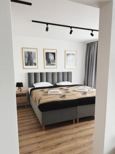 a bedroom with a large bed in a room at Apartamenty Piast Myślibórz in Myślibórz