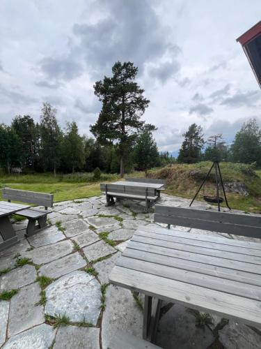 three benches and a picnic table in a park at Raulandsakademiet in Rauland