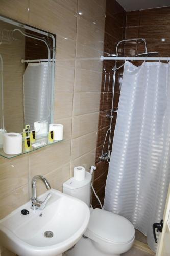 a bathroom with a white toilet and a sink at Downtown Antique Hotel in Cairo