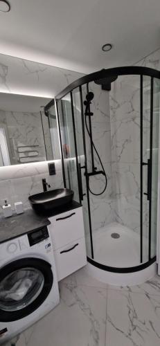 a bathroom with a shower and a washing machine at Korsako apartamentai in Šiauliai